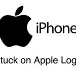 Checking the iPhone's Apple Logo