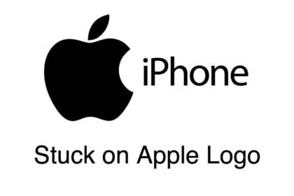 Checking the iPhone's Apple Logo