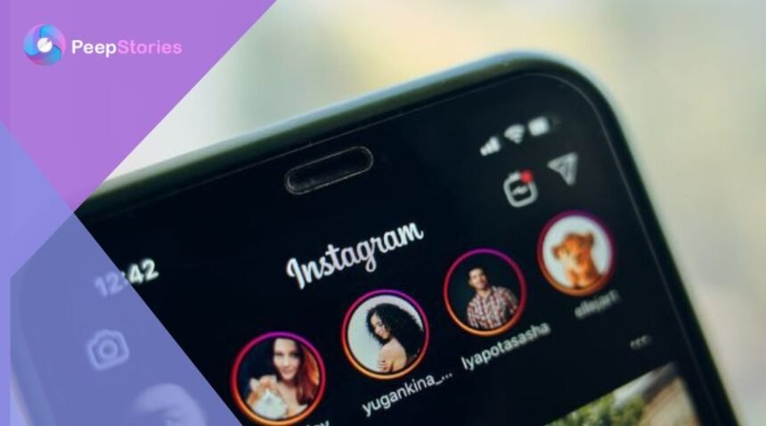 Ultimate Guide to Using Instagram Story Viewer for Marketing Purposes
