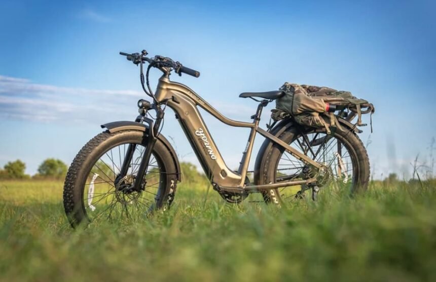 Long Range Ebikes in Canada