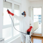 Protecting Your Home with Pest Control in Singapore
