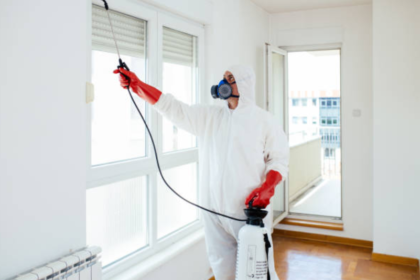 Protecting Your Home with Pest Control in Singapore