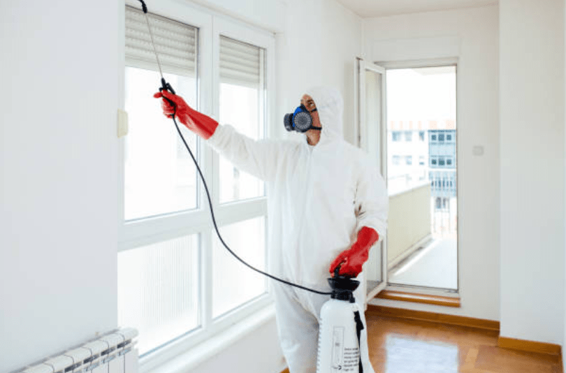 Protecting Your Home with Pest Control in Singapore