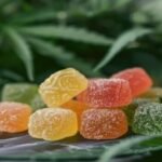 CBD Gummies